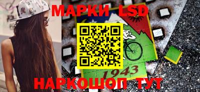 Альфа ПВП Кандалакша