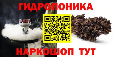 spice Камышлов