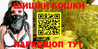 spice Камышлов