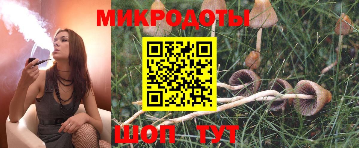 МЕТАДОН Курчатов