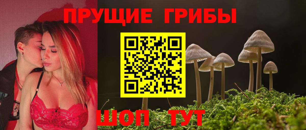 Курчатов  Галлюциногенные грибы мицелий  Вход с VPN 